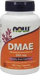 Now Foods NOW DMAE 250 mg 100 cps.