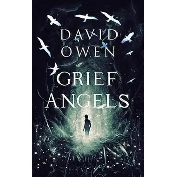 Cizojazyčná kniha Grief Angels - Owen, David
