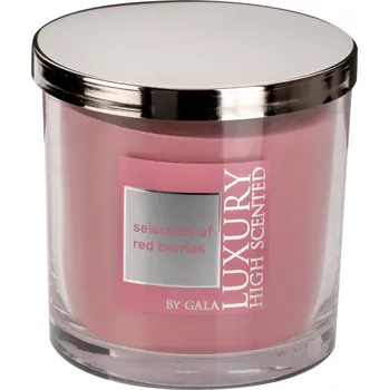 Svíčka Vonná svíčka Selection of Red Berries 2-knotová ve skle Lyon s kovovým víkem Gala kerzen GA04371576S