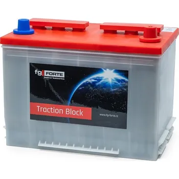 Trakční baterie fg-FORTE 6PT56 WET trakční blok 12V 56Ah C5 75Ah C20 256 x 175 x 210 mm (Trakční blok WET s kapalným elektrolytem)