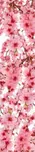 DIMEX Květy jabloně DS-00 160 x 260 cm…