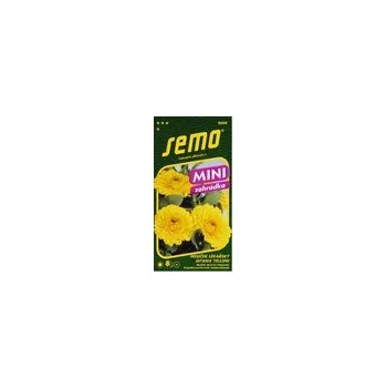Semeno Měsíček GITANA YELLOW MINI