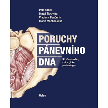 Poruchy pánevního dna - Petr Anděl, Vladimír Benčurik, Matej Škrovina, Mária Macháčková