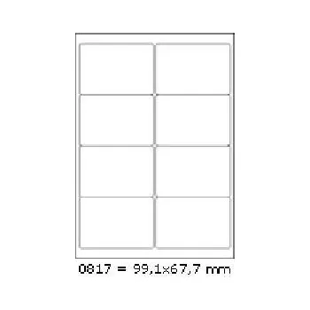 Speciální papír Samolepicí etikety R0100.0817 99,1 x 67,7 mm, 8 etiket, A4, 100 listů