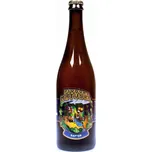 Matuška Ipa Raptor 14° 0,7 l