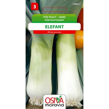 Semeno Osiva Moravia Elefant pór pravý zimní 1,5 g