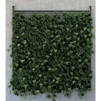 Fototapeta Fototapeta, 180 x 202 cm, FTNXL 2542