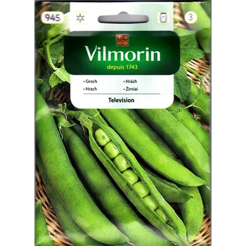 Semeno Hrách Television (pozdní)