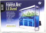 Globus Educational Forest Ant L.E.Dized