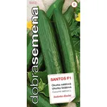 Dobrá semena Santos F1 okurka…