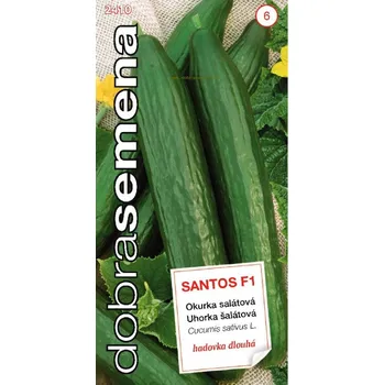 Semeno Dobrá semena Santos F1 okurka skleníková 10 ks