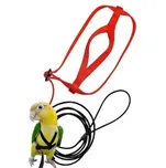 Terra International Kšandy s vodítkem…