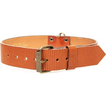 Obojek pro psa Kožený obojek Diamant Topaz 40 mm - OBV.100161 TOP Velikost (obvod v cm): 50 - 60 cm