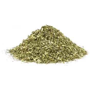 Roman Zima Šanta kočičí nať