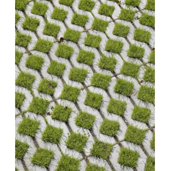 Venkovní dlažba Best VEGA 40x60x8 cm 1 m2 přírodní