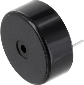 PSP241280 miniaturní bzučák Hlučnost: 80 dB Napětí: 12 V/DC nepřerušovaný tón 1 ks