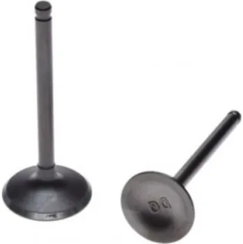 malá motorka Sada ventilů motoru pitbike YX140cc (Ventily na motor YX 140cc)