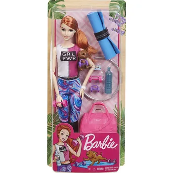 Mattel Barbie WELLNESS PANENKA ASST