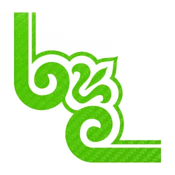 Samolepící dekorace Rohová samolepka 002 pravá (58 - 3D karbon zelený kawasaki) SAMOLEPKA NA AUTO, NÁLEPKA, FÓLIE, POLEP, TUNING, VLASTNÍ TEXT, TISK, AUTOSAMOLEPKY.cz, POLEPY, OBRÁZEK, LOGO, 3D STICKERS