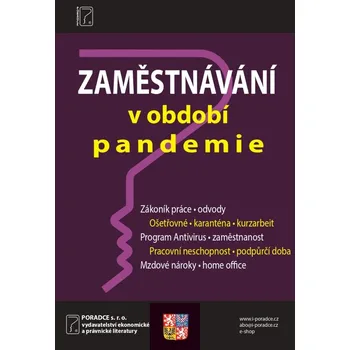 Zaměstnávání v období pandemie - Antonín Daněk a kol. (2020, brožovaná)