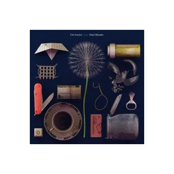 Hudba Fatal Mistakes / Vinyl - Del Amitri [LP]