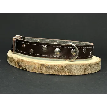 Obojek pro psa Palkar zdobený obojek z kůže hlazenice pro psy 55 cm x 22 mm hnědý (Palkar zdobený obojek z kůže hlazenice pro psy 55 cm x 22 mm hnědý)