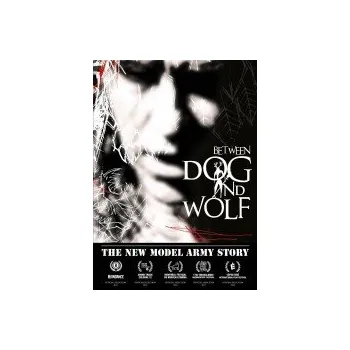 Zahraniční hudba New Model Army Story - New Model Army [DVD]