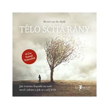 Tělo sčítá rány MP3 download