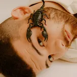 Svědomí - Calin [CD]