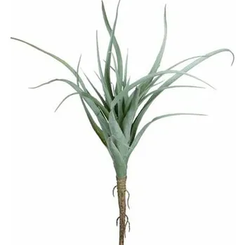 umělá květina Edelman Květina Tillandsia, zelená|Ego Dekor