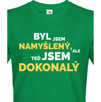 Pánské tričko Pánské tričko Byl jsem namyšlený, ale teď jsem dokonalý, Barva Zelená, Velikost XL, Canvas Pánské tričko s krátkým rukávem Bezvatriko.cz 1671