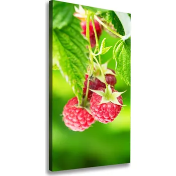 Obraz Vertikální Foto obraz na plátně Malina na keříku