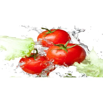 Obraz Foto obraz skleněný horizontální Rajčata a salát