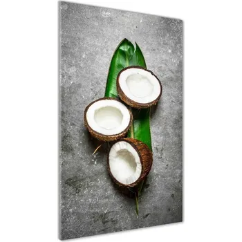 Obraz Foto obraz akrylové sklo vertikální Kokos na listu