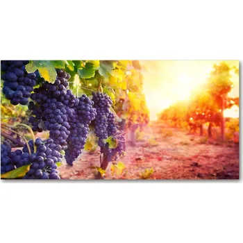 Obraz Foto obraz skleněný horizontální Hrozny a víno