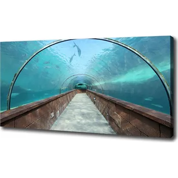 Obraz Foto obraz na plátně Tunel akvárium