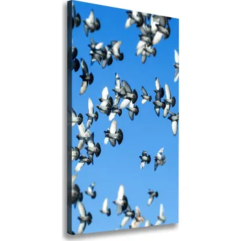 Obraz Vertikální Foto obraz na plátně Holubi na nebi