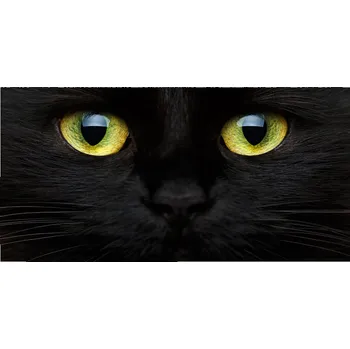 Obraz Foto-obraz na skle horizontální Kočičí oči