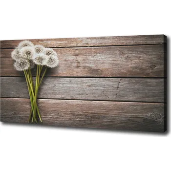 Obraz Foto obraz na plátně Pampelišky strom