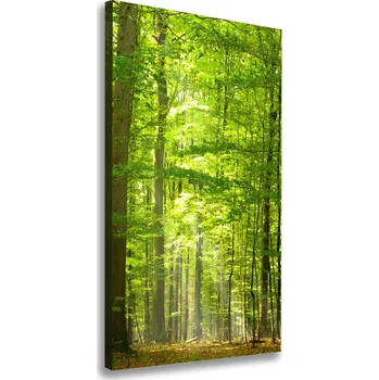 Obraz Vertikální Vertikální Foto obraz na plátně do obýváku Bukový les