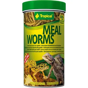 Krmivo pro terarijní zvíře TROPICAL Sušení mouční červi 250ml/30g