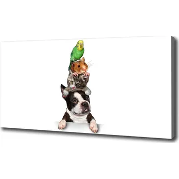 Obraz Foto obraz na plátně Skupina zvířat