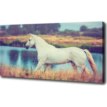 Obraz Foto obraz na plátně Bílký kůň jezero