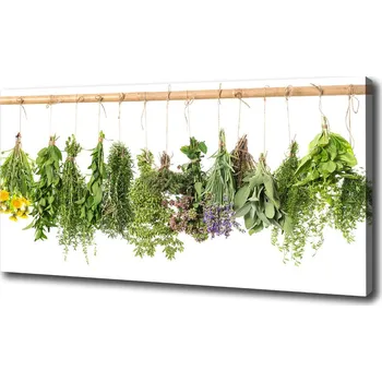 Obraz Moderní obraz canvas na rámu Bylina na provázku