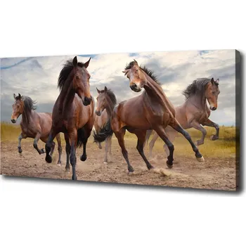 Obraz Foto obraz na plátně Pět koní