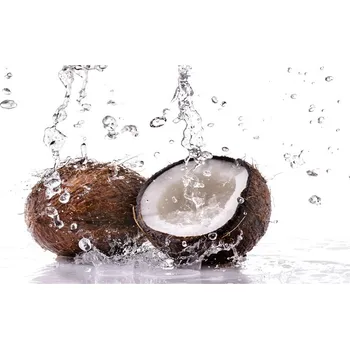 Obraz Foto obraz skleněný horizontální Kokos a voda