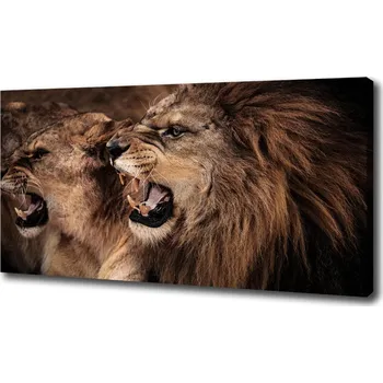 Obraz Foto obraz canvas Řvoucí lvi