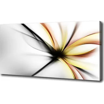 Obraz Foto obraz na plátně Abstrakce květ
