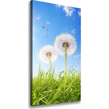 Obraz Vertikální Foto obraz na plátně Pampelišky na louce