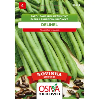 Semeno Fazol keříčkový - Delinel